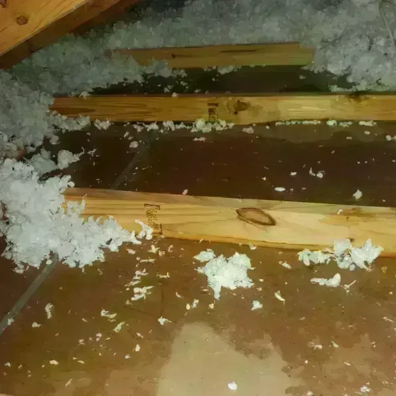 Attic Water Damage in Menominee County, MI